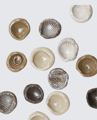 Ceramic shell dishes arranged overhead